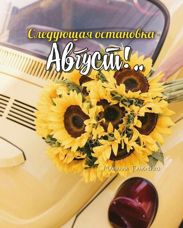 доброе августовское утречко