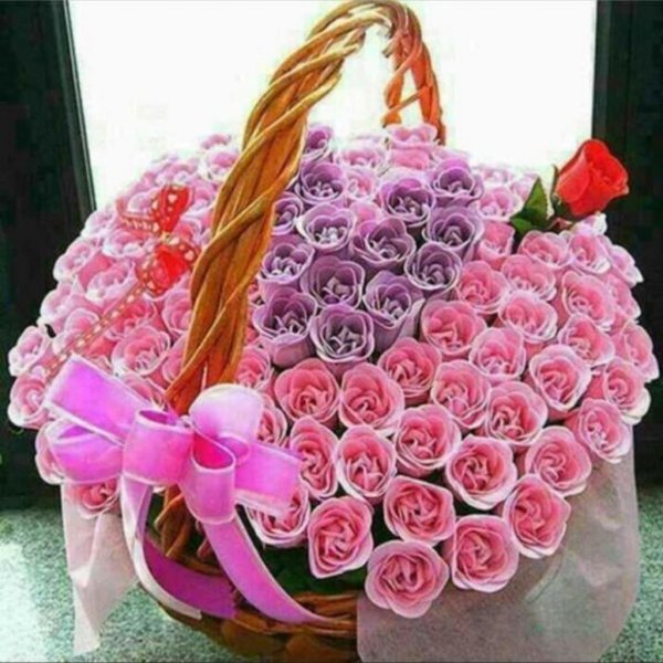 101 розовая роза