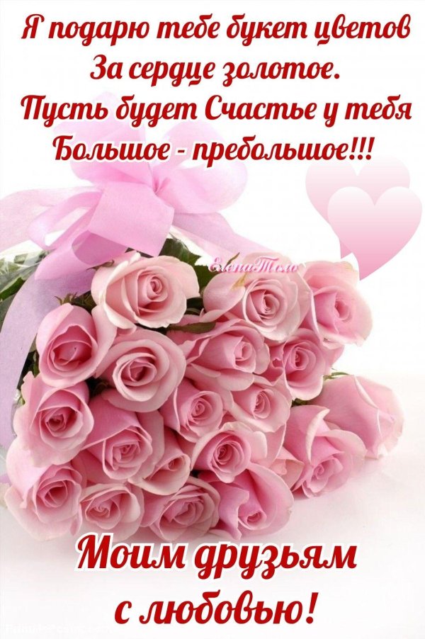 розовая роза