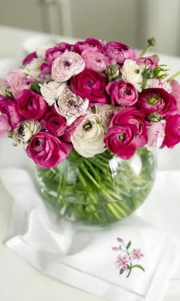 ранункулюс розовый