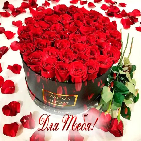 роза в коробке