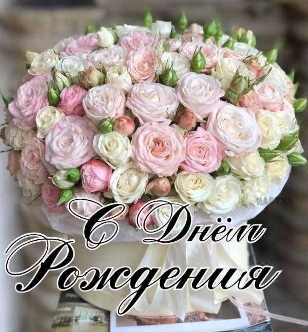 открытка ко дню рождению