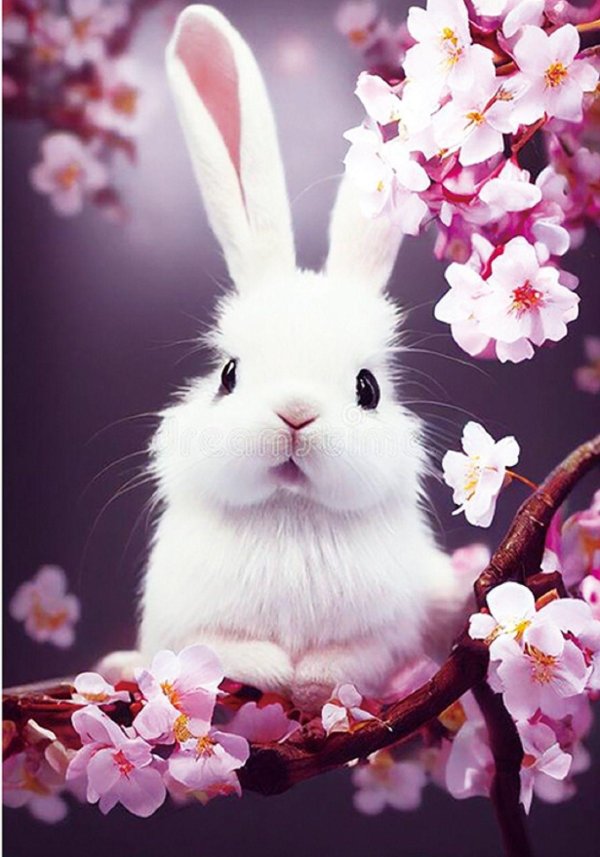 кролик розовый