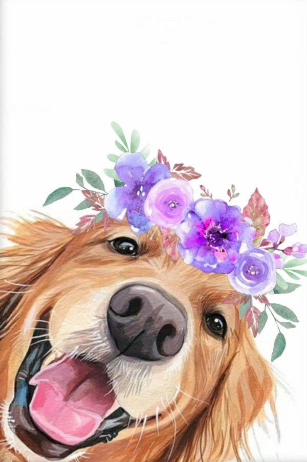 собака иллюстрация