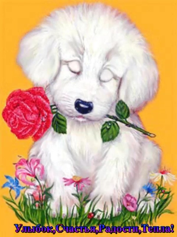 щенок с цветочком