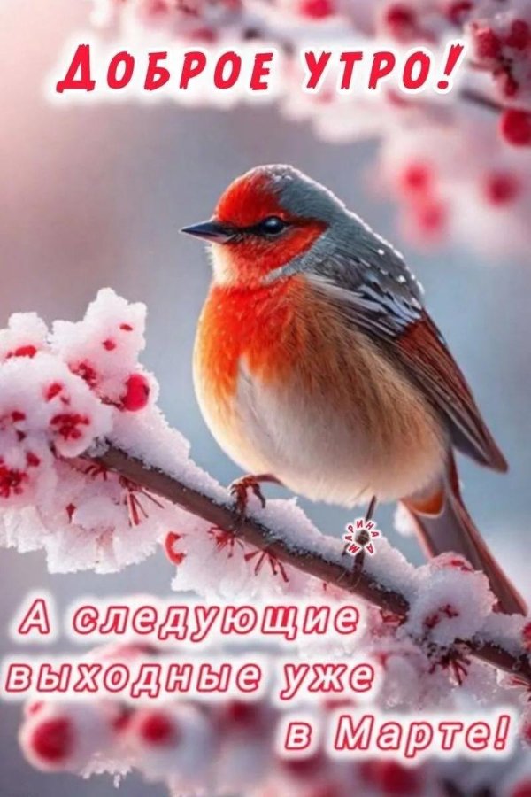 птица зимняя