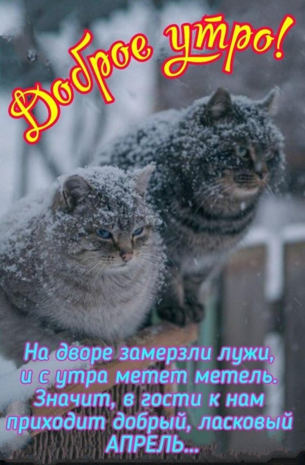 холодный апрель