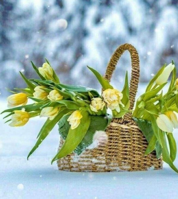 февральского настроения скоро весна