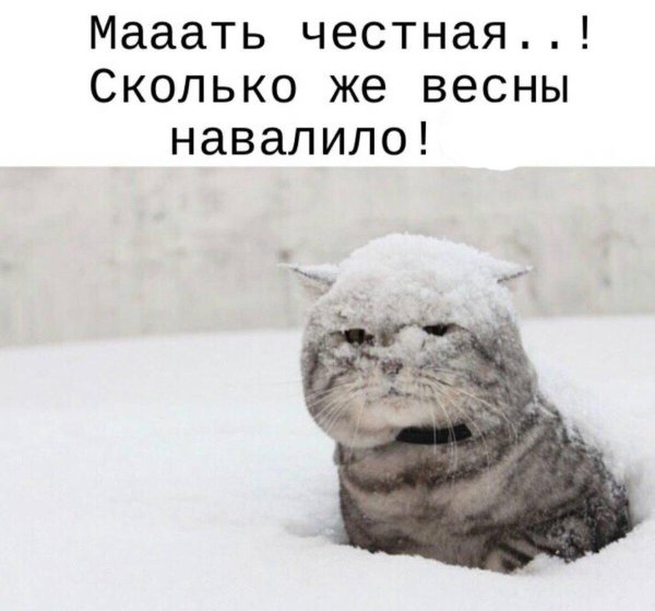 опять снег