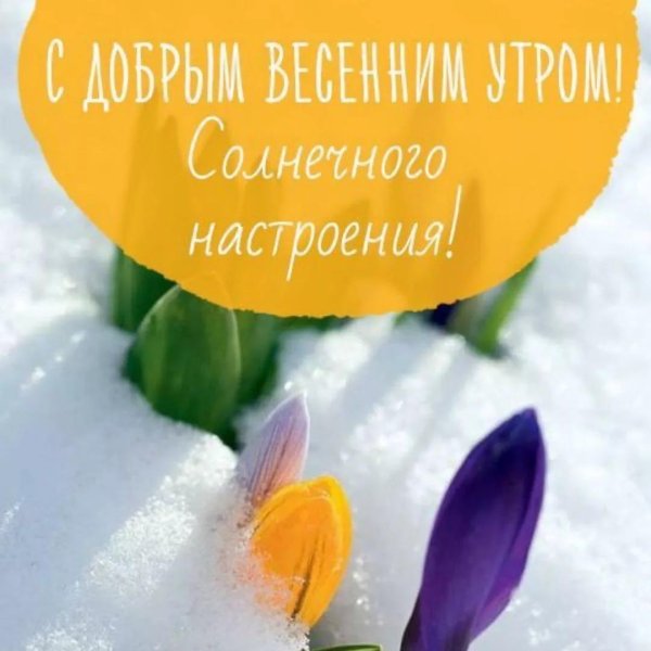 солнечного настроения