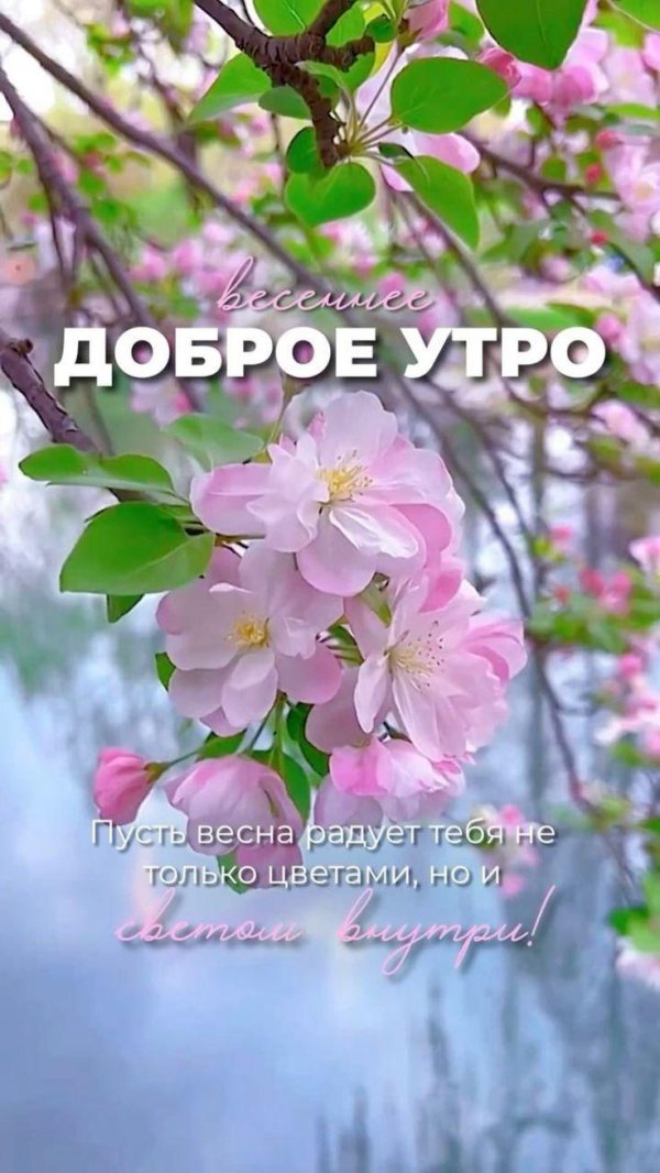 доброго майского утра