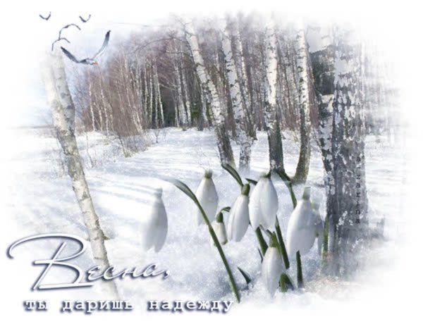 весенние подснежники