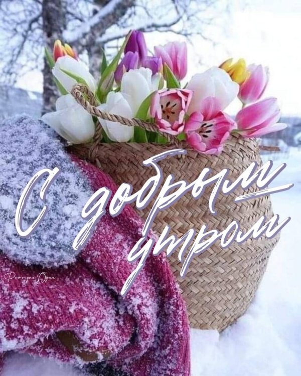 встречаем весну