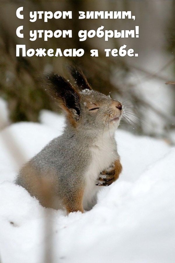 белка спасибо