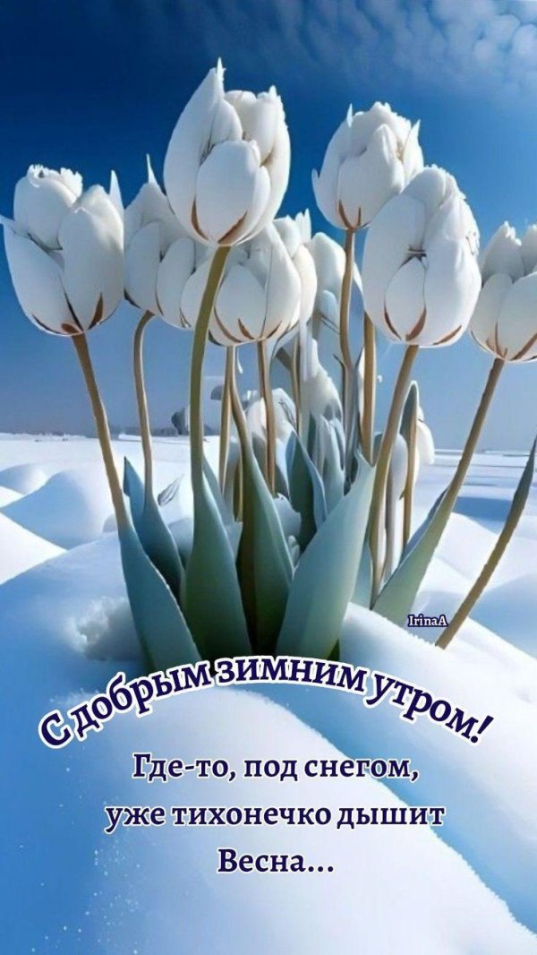 доброе зимнее утречко