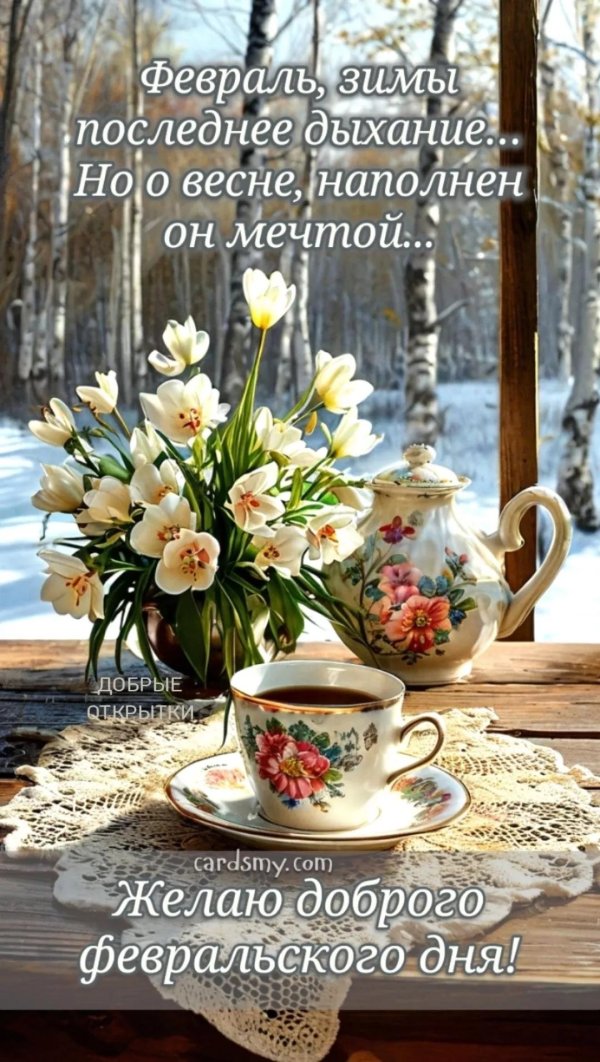 доброе прекрасное февральское утро