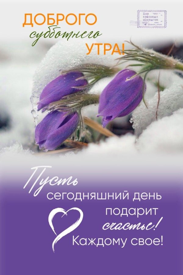 подснежник сибирский прострел