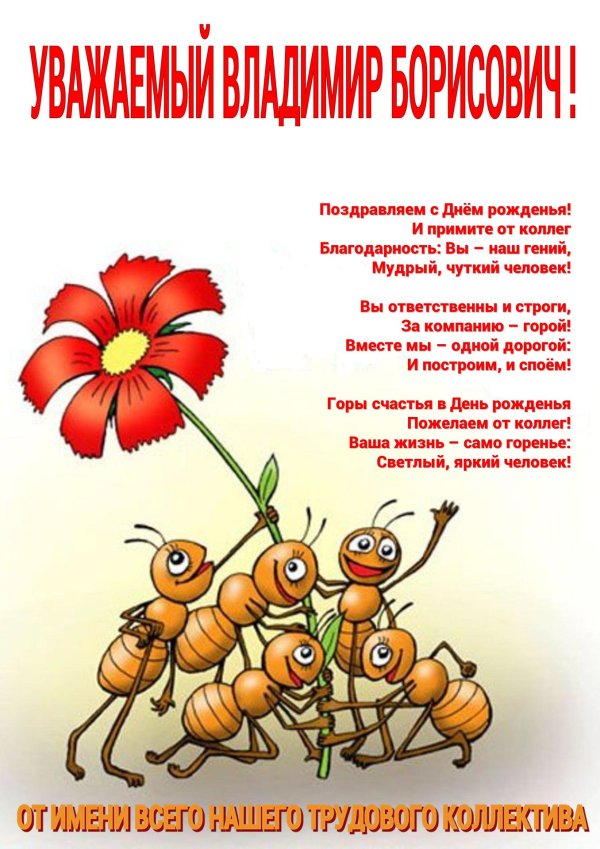 поздравление слнемрождения коллеге