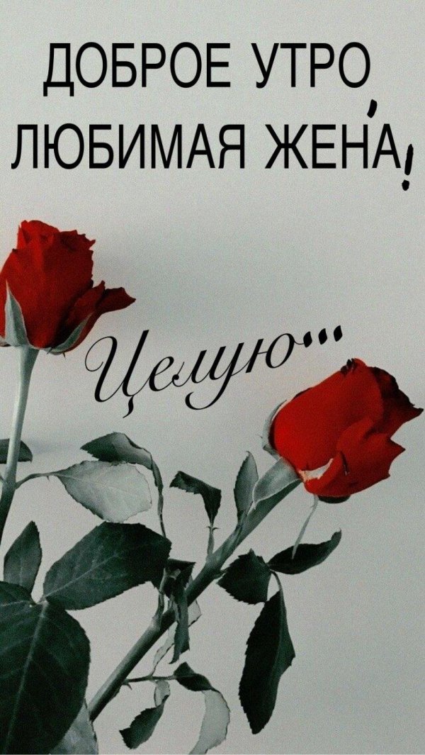 доброго утра любимая жена