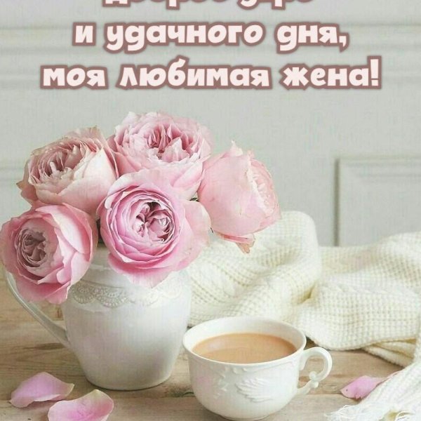 нежного утра