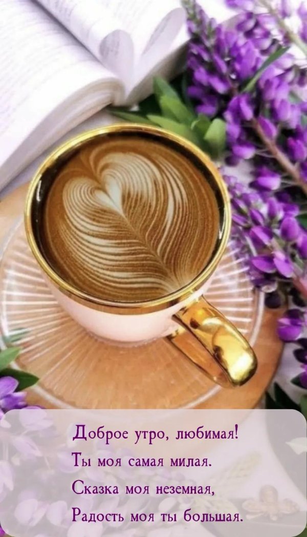 доброе утро любовь моя