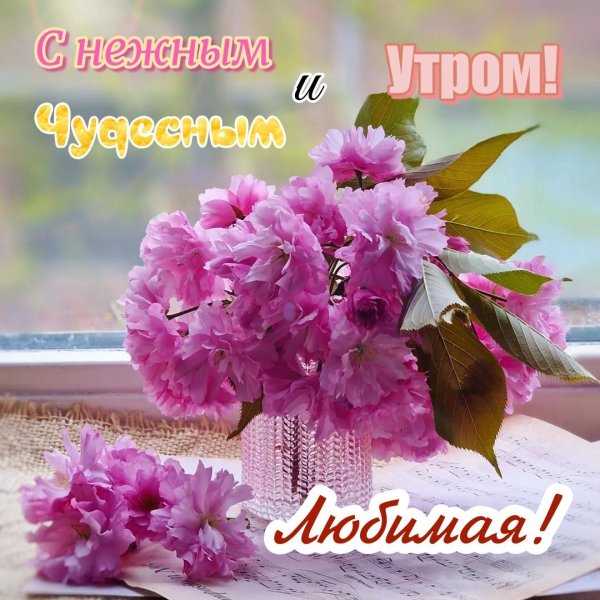 нежного утра