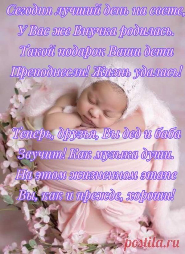 поздравить прабабушку с рождением правнучки