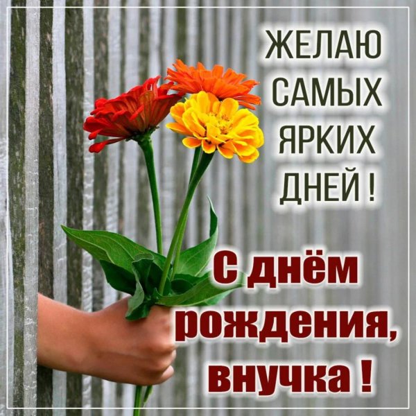 открытка с днем рождения внучек