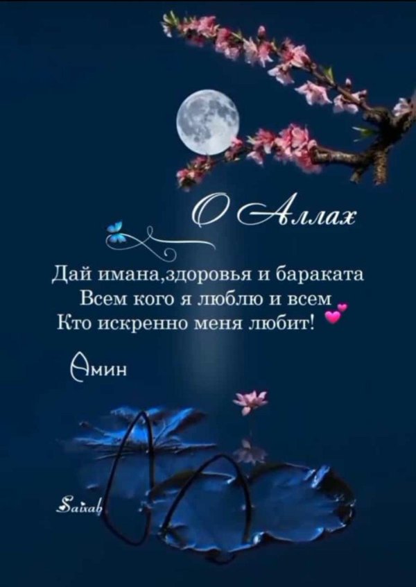 спокойная ночи