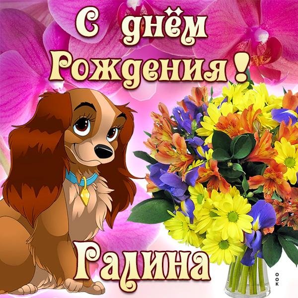 поздравления для девочек