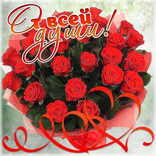 открытка букет роз