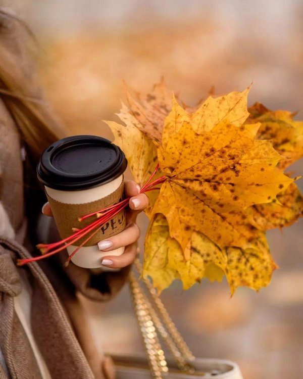 фотосессия осенняя