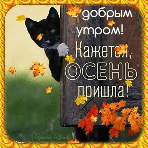 доброе утро прикольные осенние