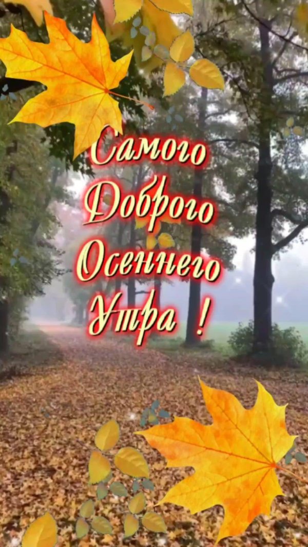 добрый день новые осенние
