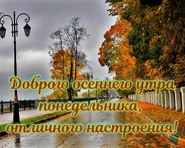 доброго утра понедельника осень