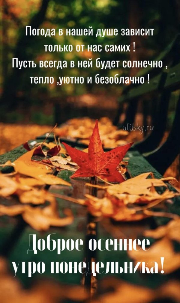 осеннего утра доброго
