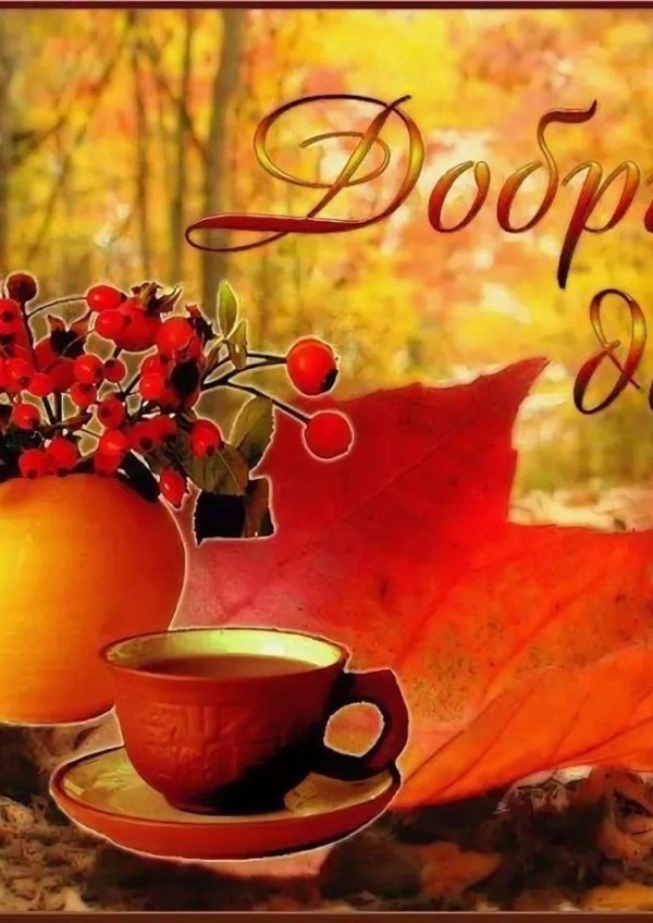 доброго дня осени