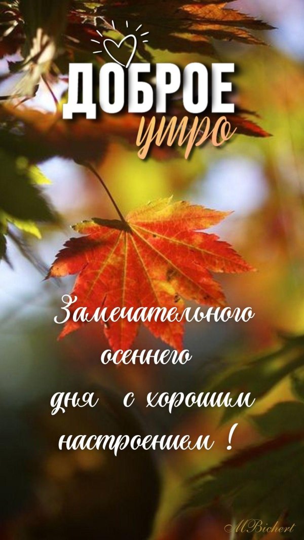 доброго утра осени