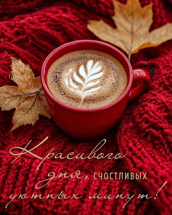 утро осеннее доброе