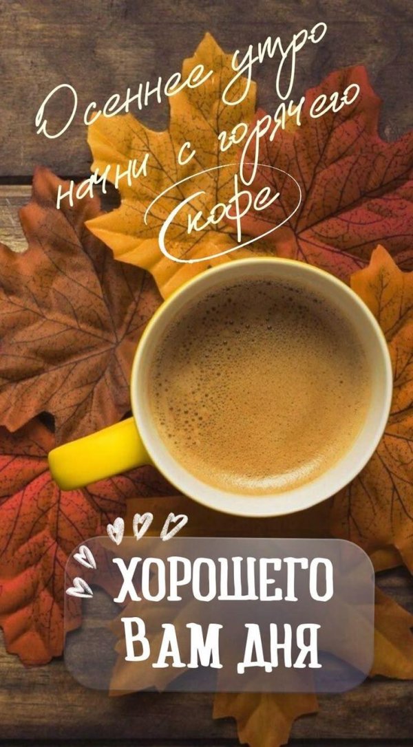 осень доброе утро