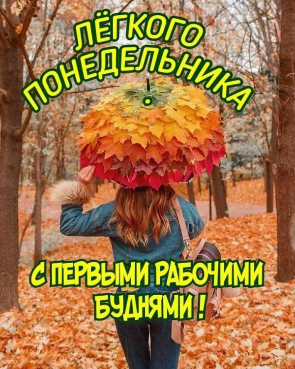 осенние зонтики