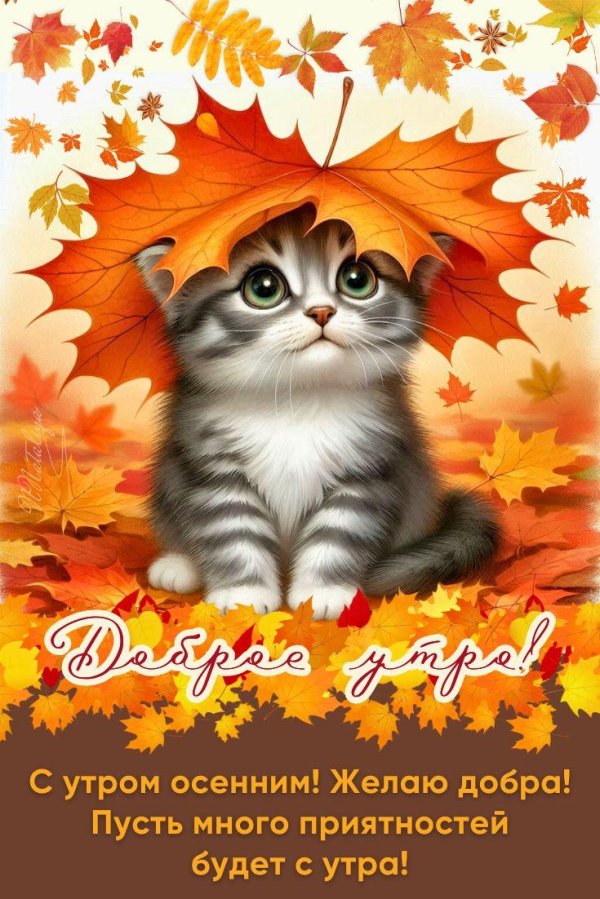 добрейшего осеннего утра