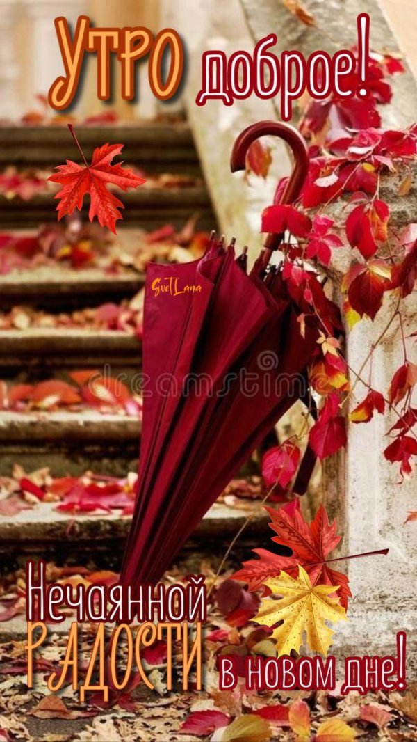 зонтик осенний