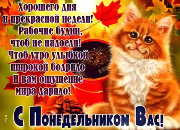пожелания хорошего начала рабочей недели