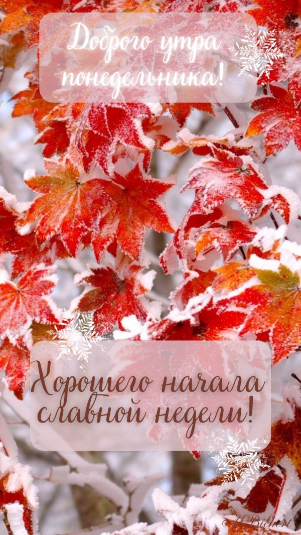 доброго осеннего утра понедельника