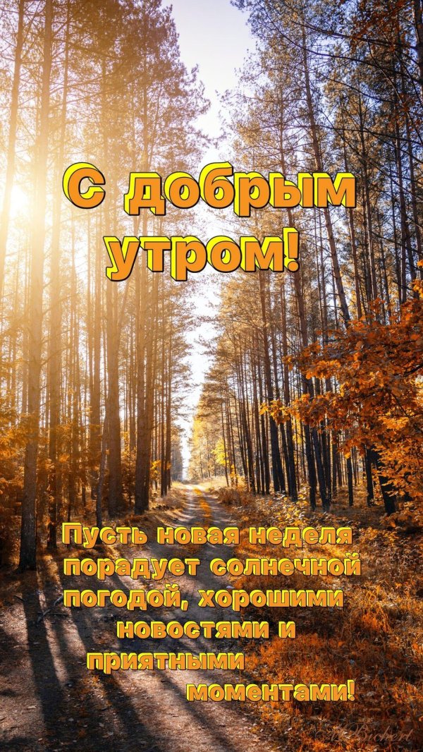 в осеннем лесу