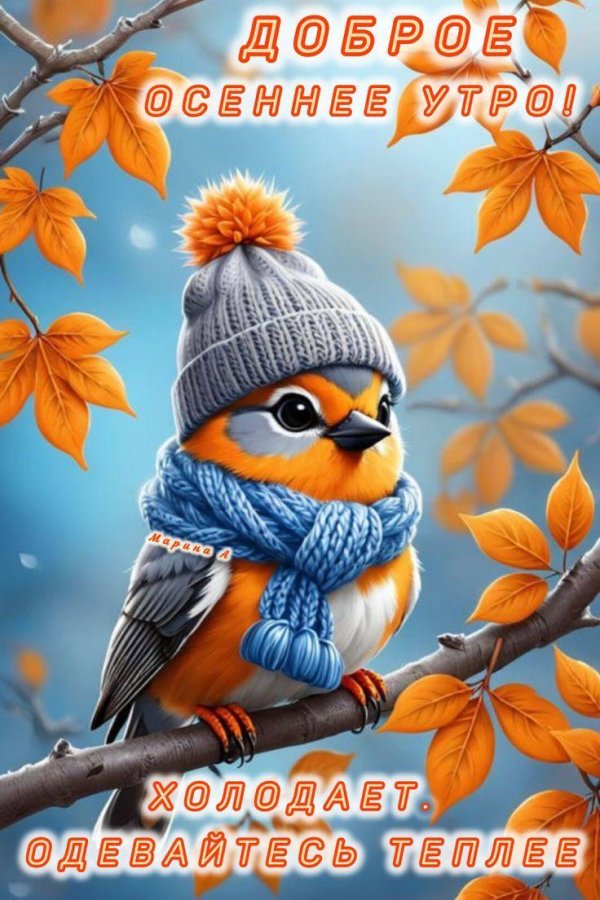 доброе утро октября красивые осенние