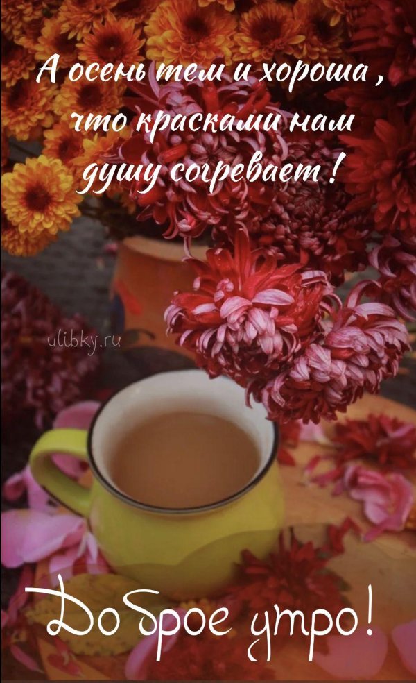 доброе утро осеннее утро