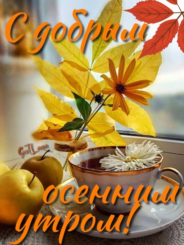 добрейшего осеннего утра