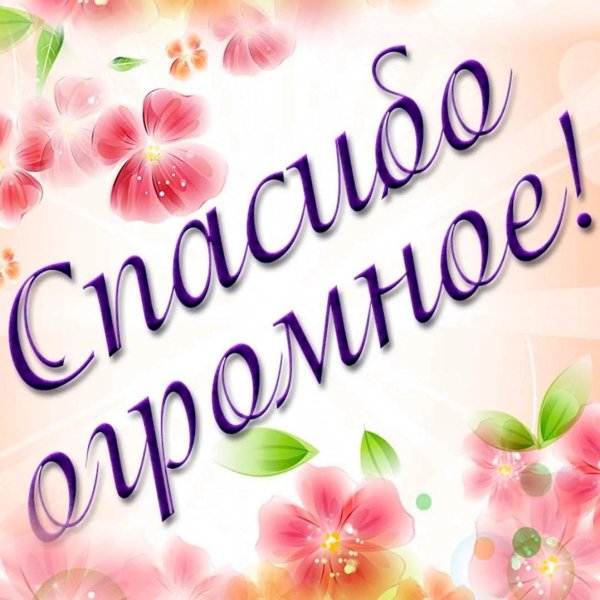 спасибо семье